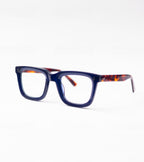 Fisher - BLUE