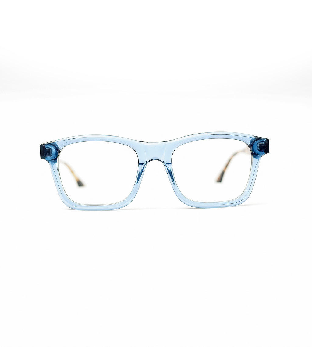 Raleigh - BLUE & TURTLE BROWN TEMPLE
