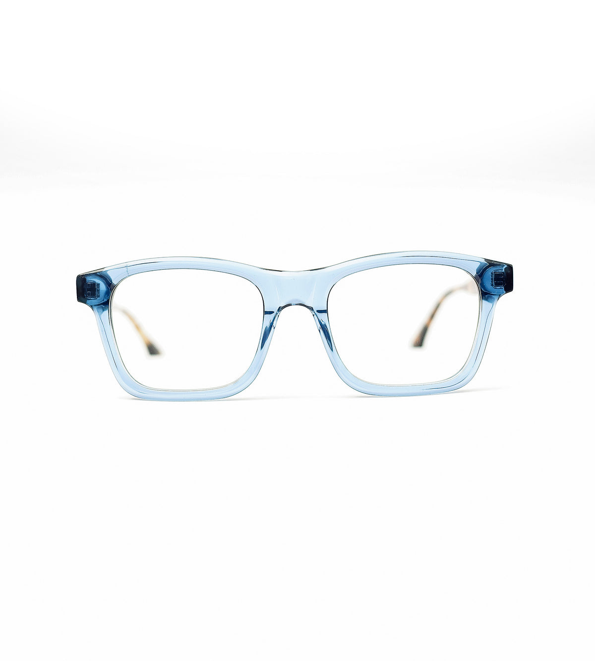 Raleigh - BLUE & TURTLE BROWN TEMPLE