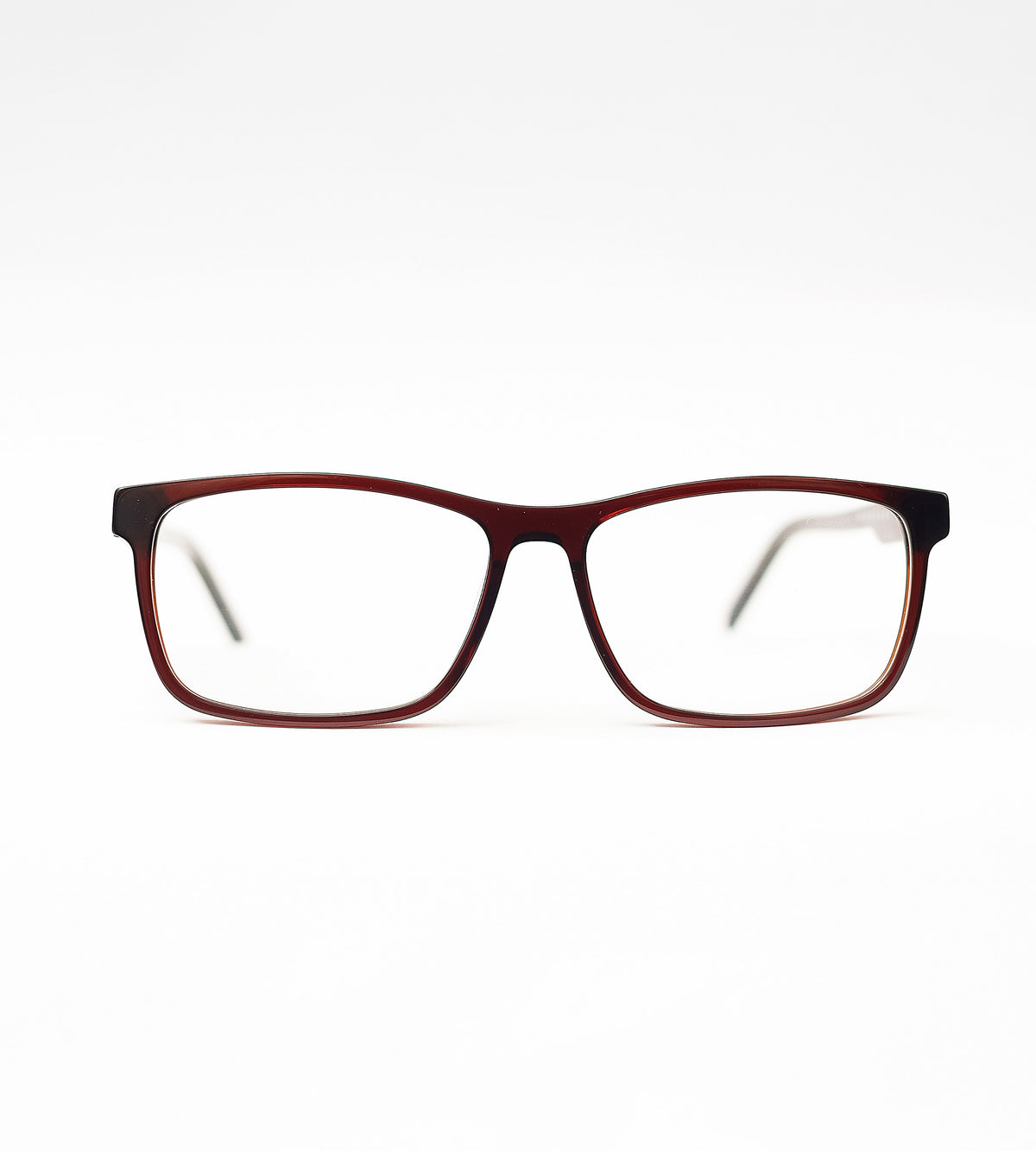 Robin - BROWN