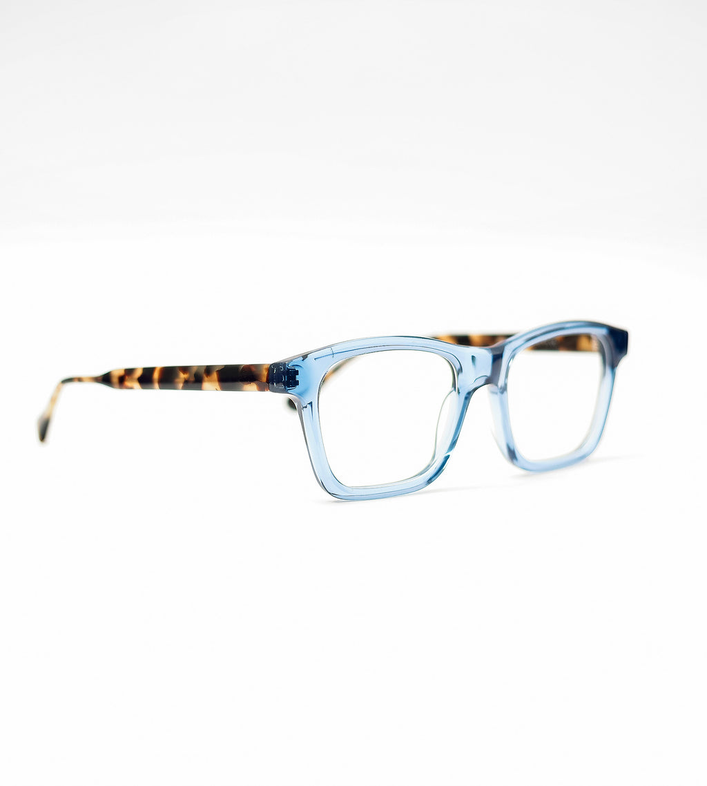 Raleigh frame - blue with turtle brown temples