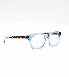 Raleigh frame - blue with turtle brown temples